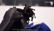 长期计划!切尔西官方:昆达正式加盟,双方签约至2034年!