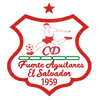 阿奎拉雷斯