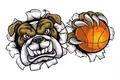斗牛犬