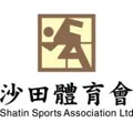 沙田