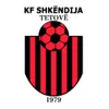 斯肯迪加U19
