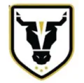 公牛学院U20